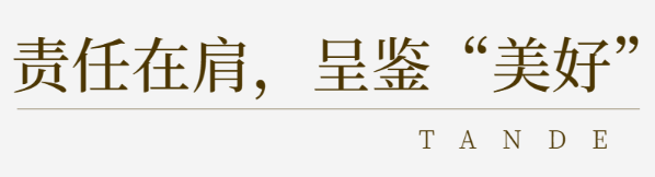 141678777332652408.png image.png